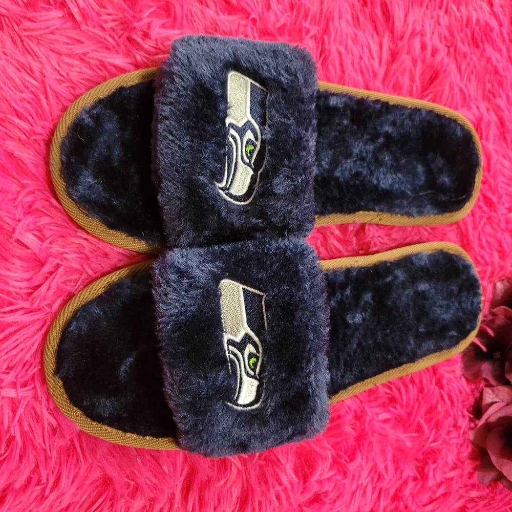 Seahawks slides - Picture 5 of 6